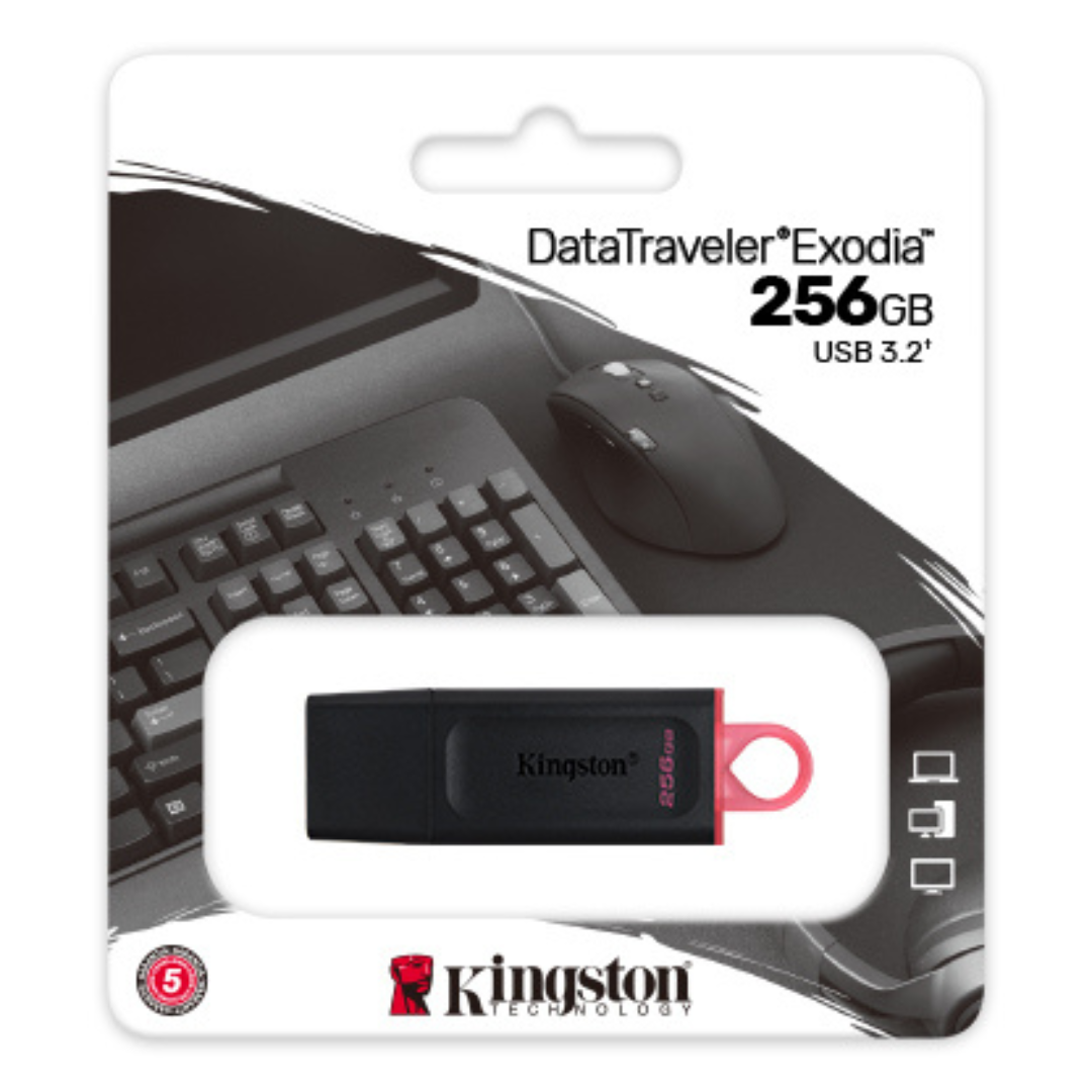 Kingston Clé USB 256GB 3.2 DataTraveler Exodia