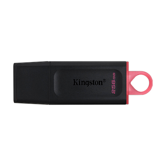 Kingston Clé USB 256GB 3.2 DataTraveler Exodia